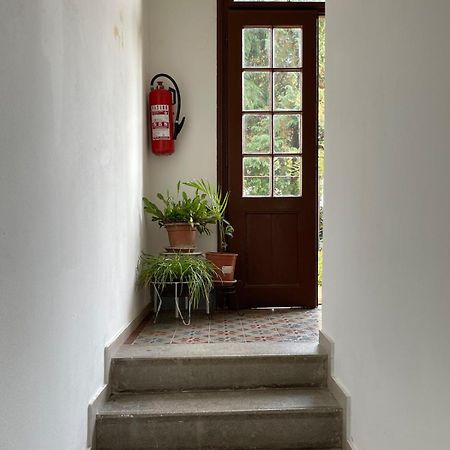 Mima'S Place Zagreb Dış mekan fotoğraf